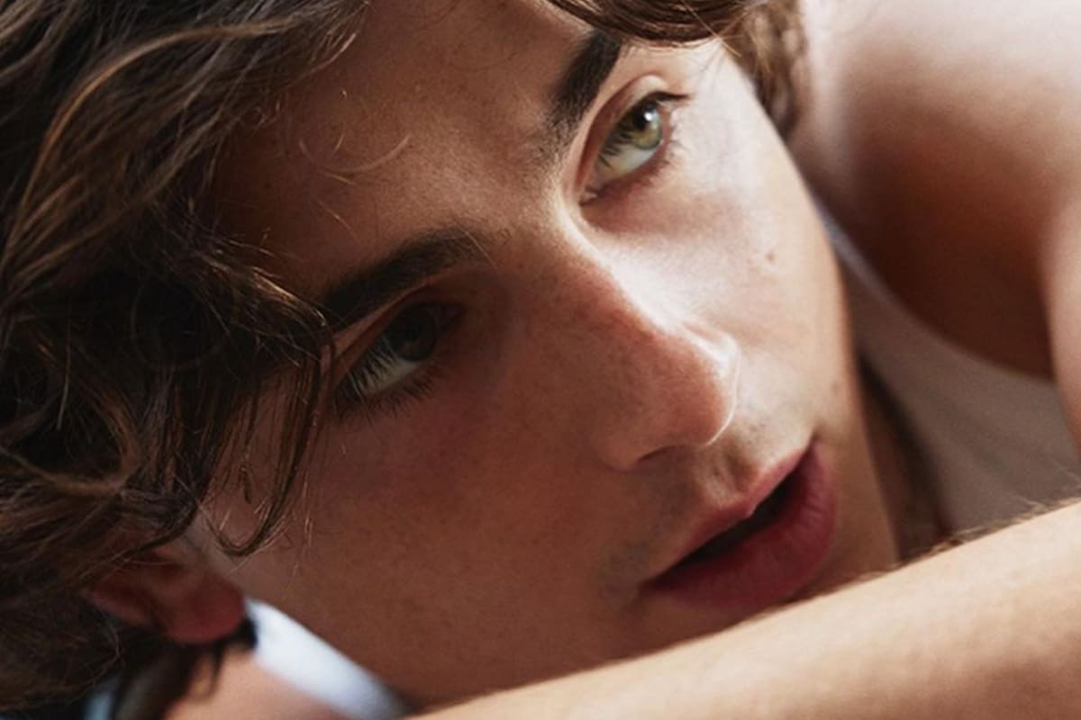 7 Fotografías de Timothée Chamalet con las que demuestra por qué es el hombre más guapo del 2023