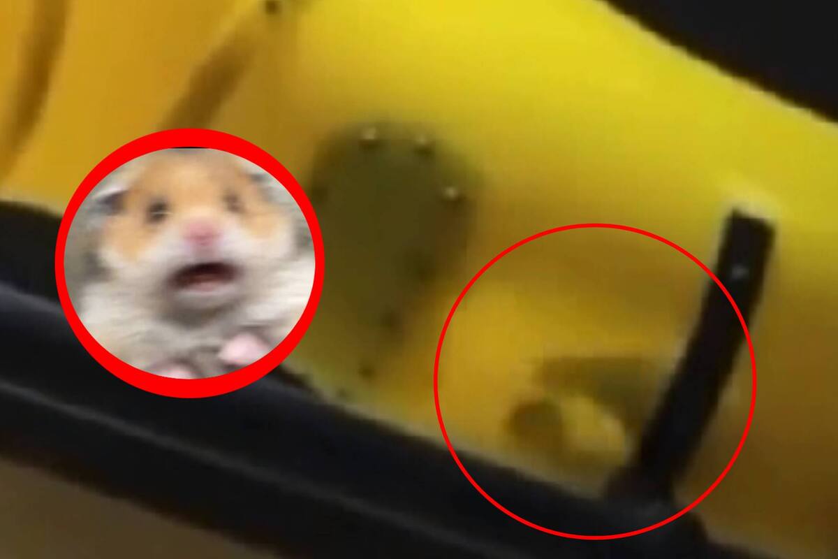 VIDEO: Captan a un espíritu jugando en un establecimiento de comida rápida