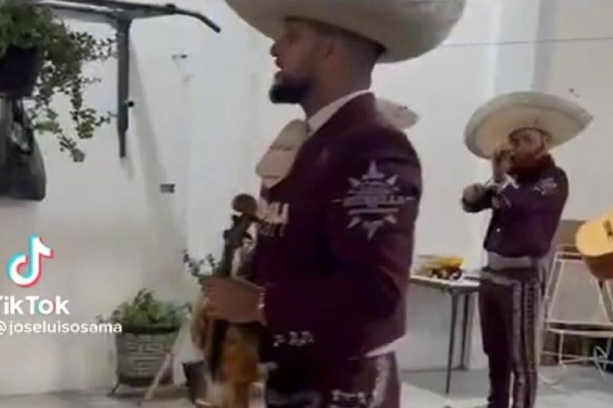 VIDEO VIRAL: Perrito asusta a mariachi que estaba cantando