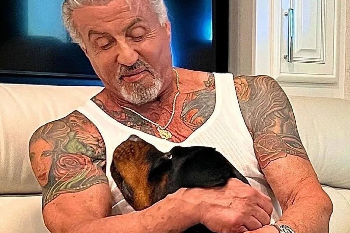 ¡Sin pensarla! Sylvester Stallone cubre tatuaje de exesposa con el de su perro "Butkus"