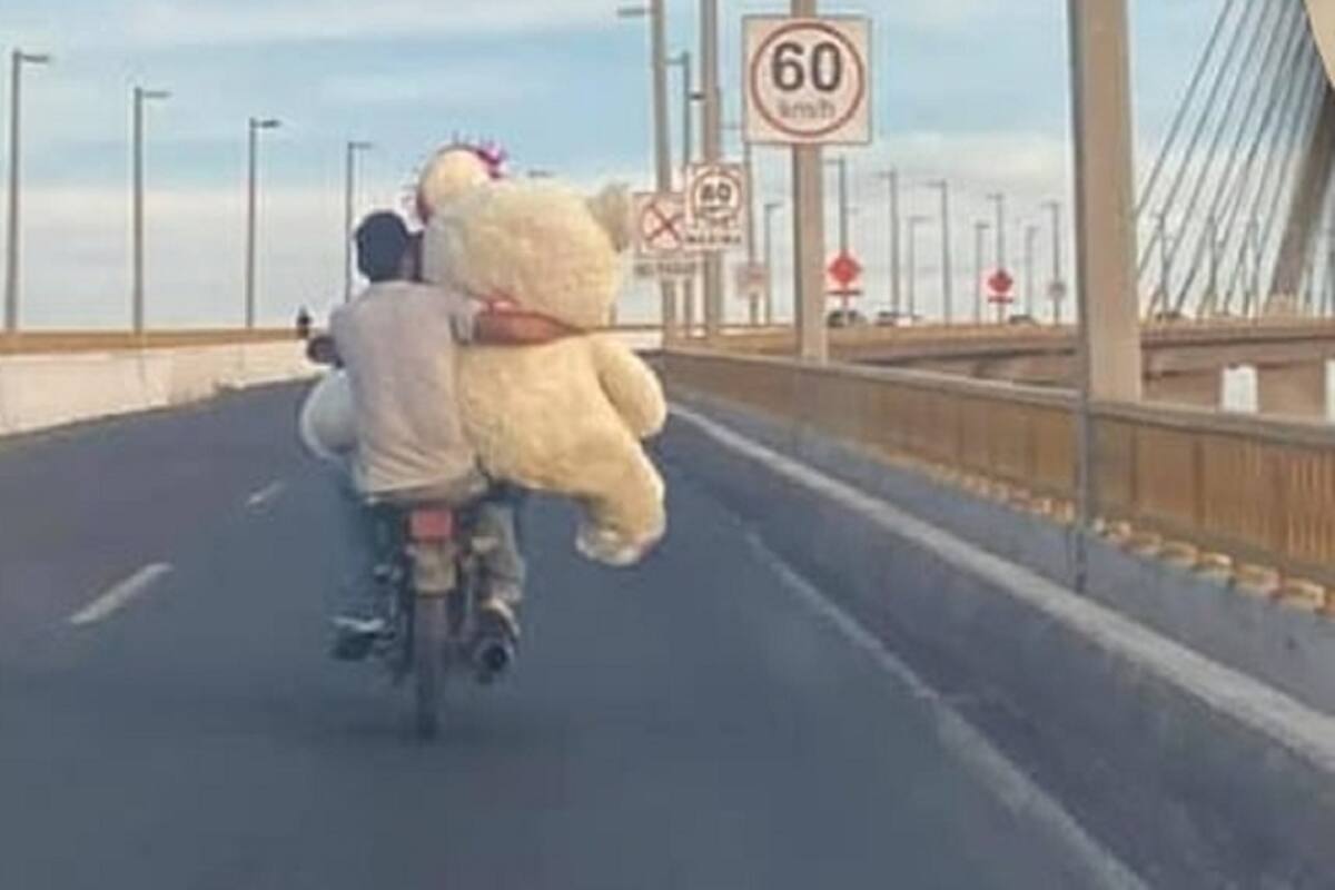 Padre compra oso en pagos y cruza el puente de Tampico para regalárselo a su hija