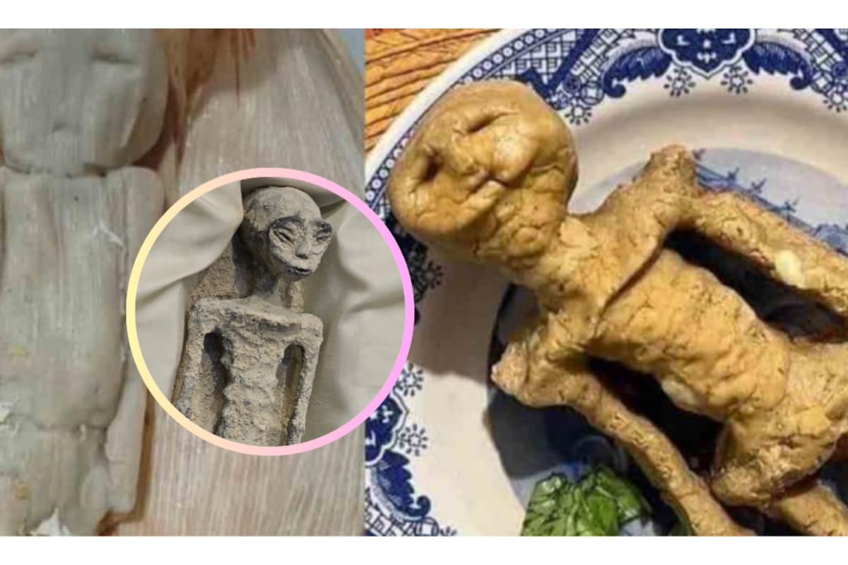 VIRAL: ¡conoce los "tamaliens!, tamales inspirados en las momias de Nazca que expuso Jaime Maussan