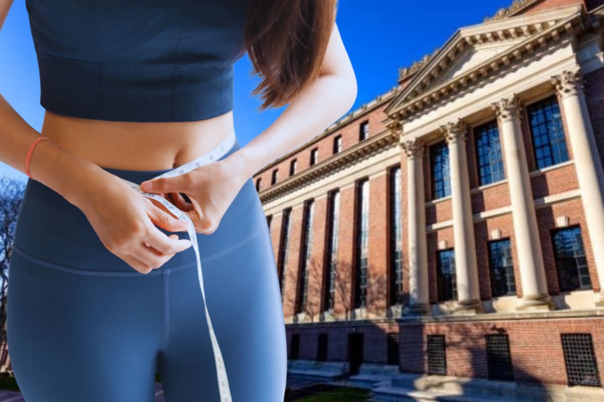 Harvard identifica el alimento económico que contribuye a adelgazar saludablemente