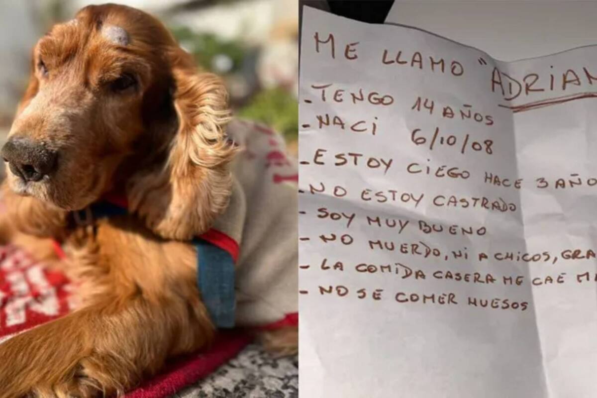 Mujer de Argentina abandona a perrito ciego y le deja una carta