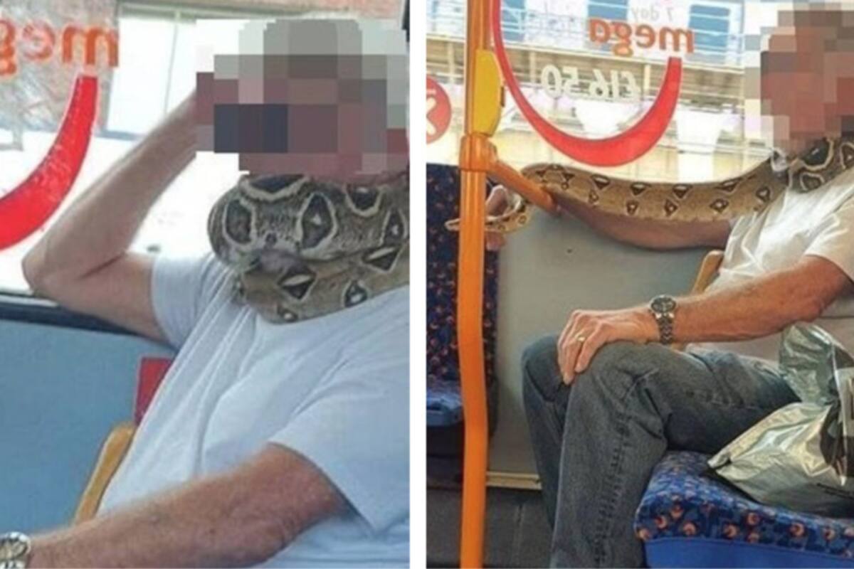 VIRAL: Hombre utiliza una serpiente como cubrebocas en autobús y deja a todos en shock