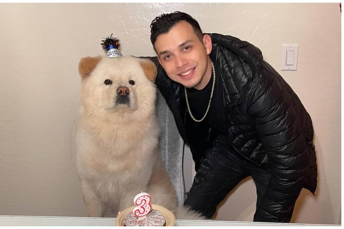 Perrito de Carlos Parra comueve por su triste comportamiento al estar en el funeral