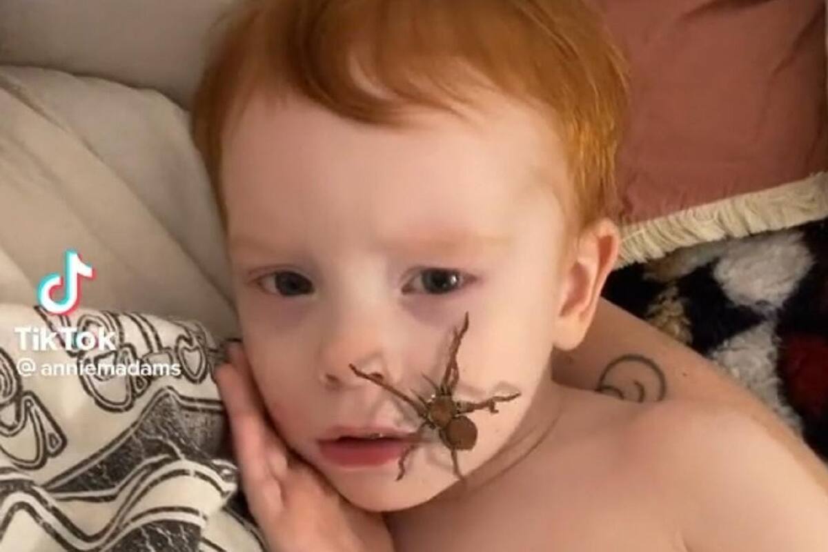 VIDEO VIRAL: Mamá asusta a su hijo con filtro de araña