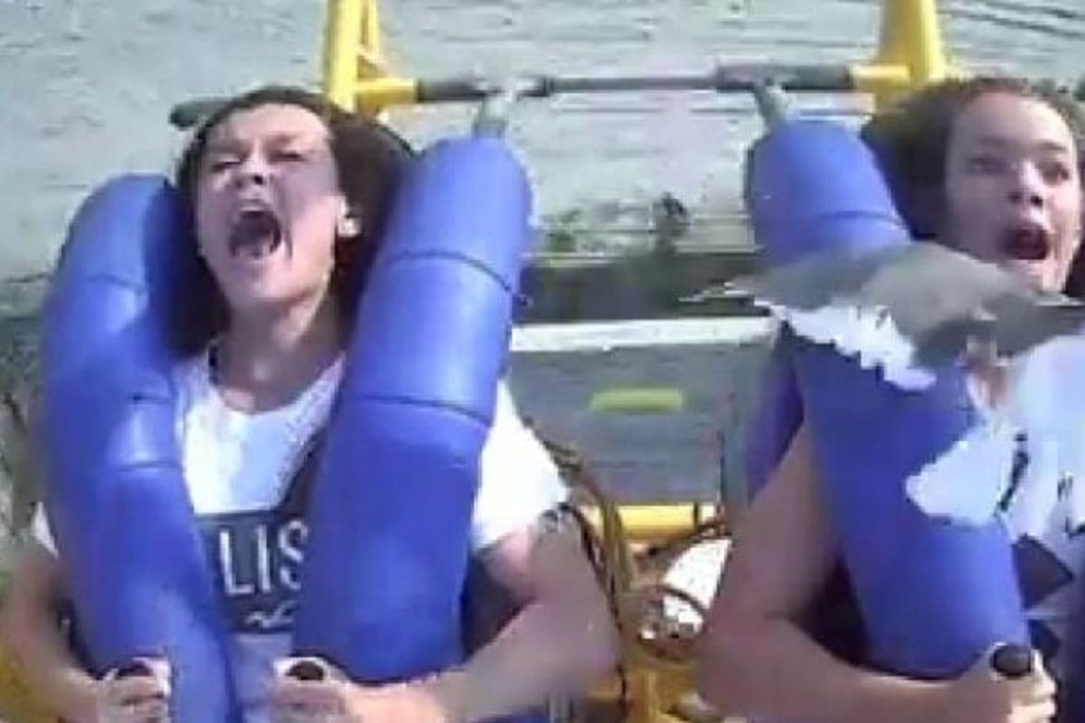 VIDEO VIRAL: Paloma choca contra una mujer que se encontraba en un juego mecánico