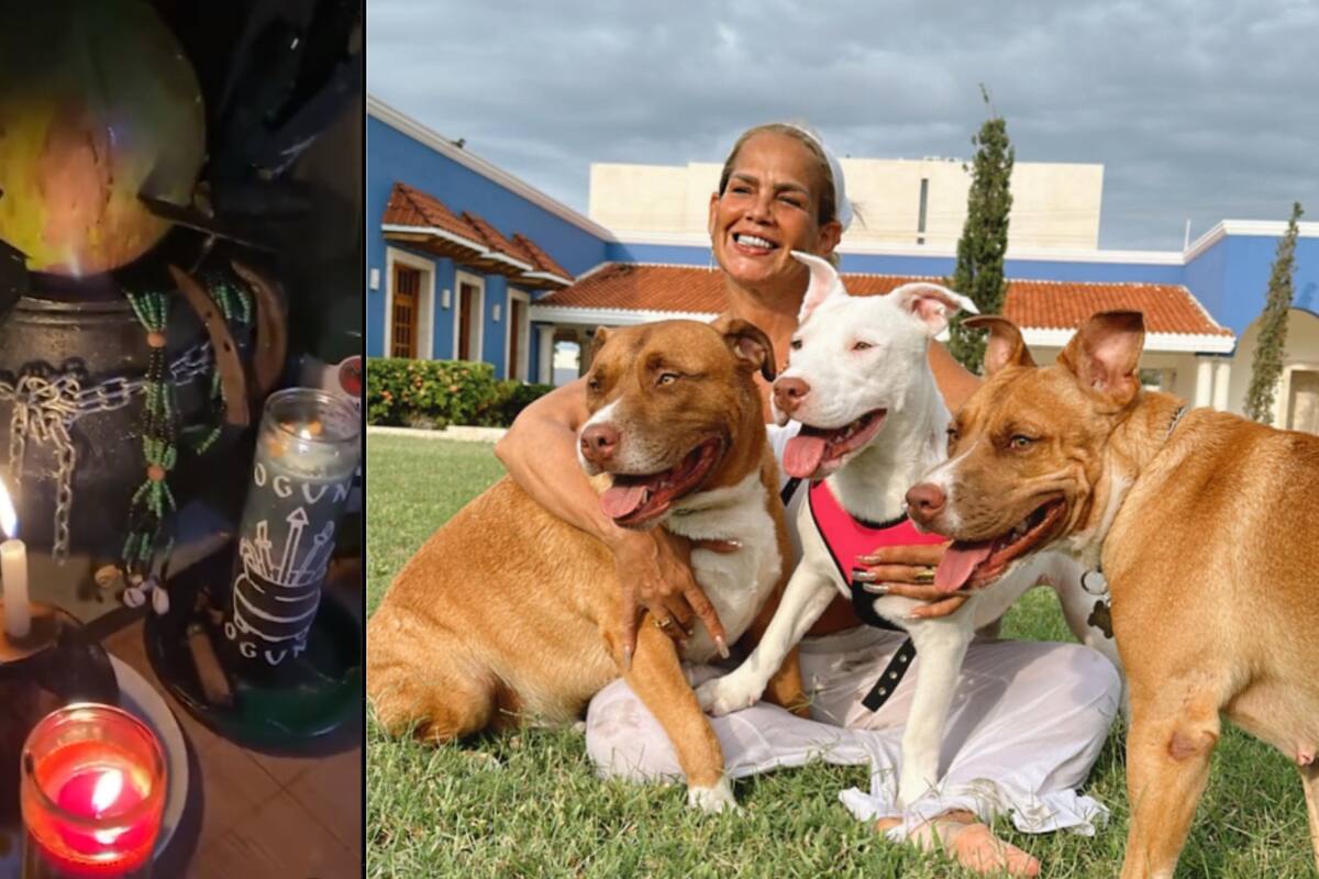 Acusan a Niurka Marcos de sacrificar perritos para sus rituales de santería
