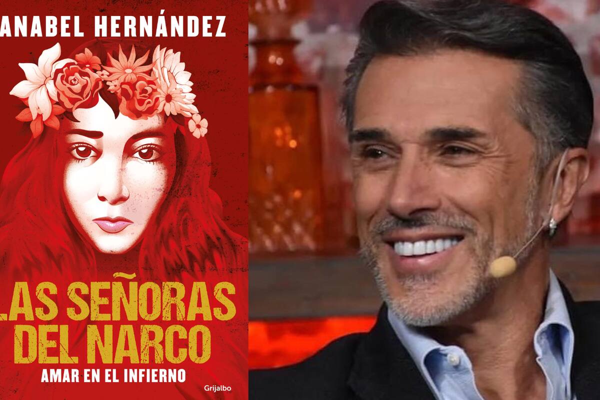 Sergio Mayer se deslinda de las acusaciones hechas por Anabel Hernández en su reciente libro