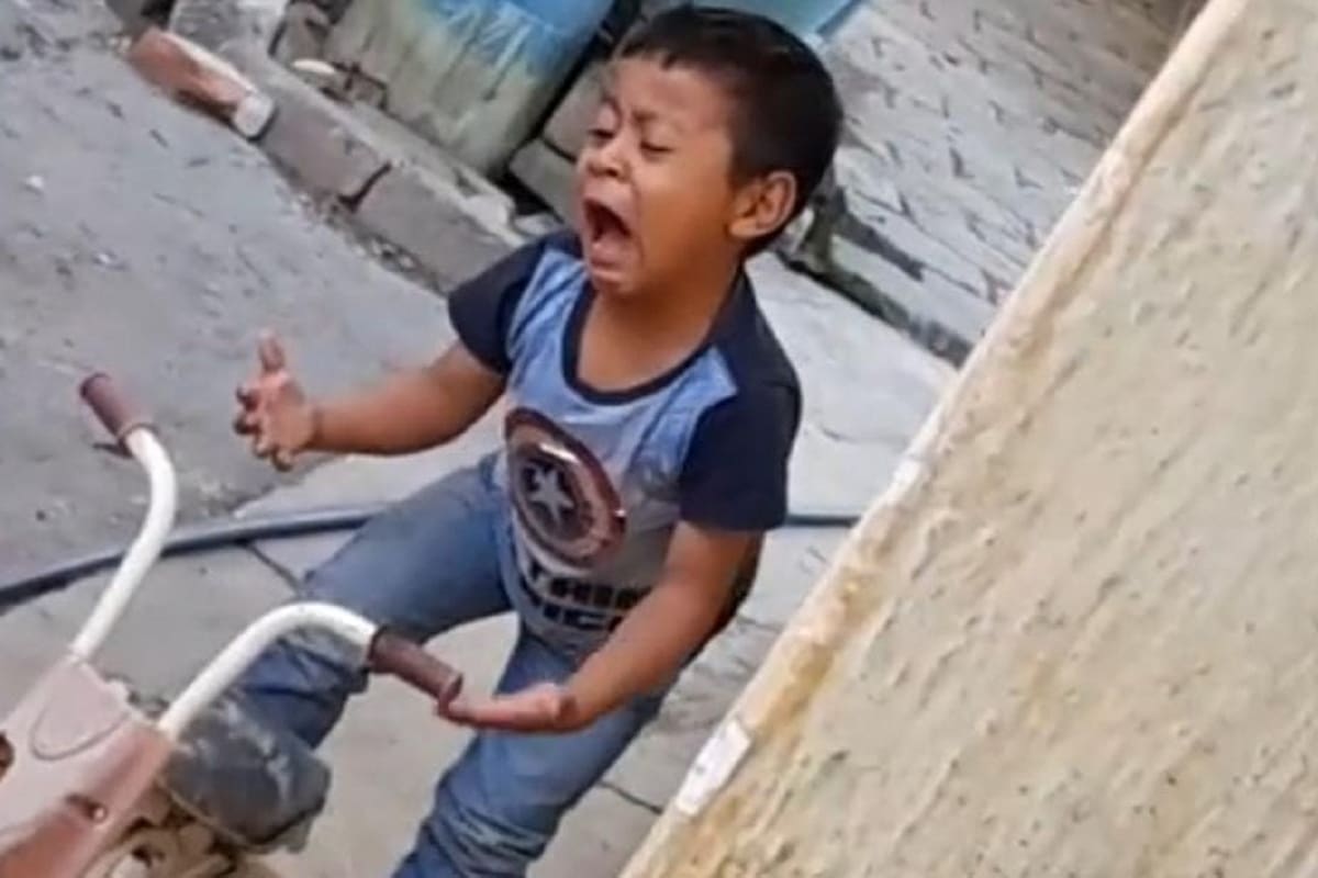 Niño es sorprendido cantando canción de Amanda Miguel con mucho sentimiento