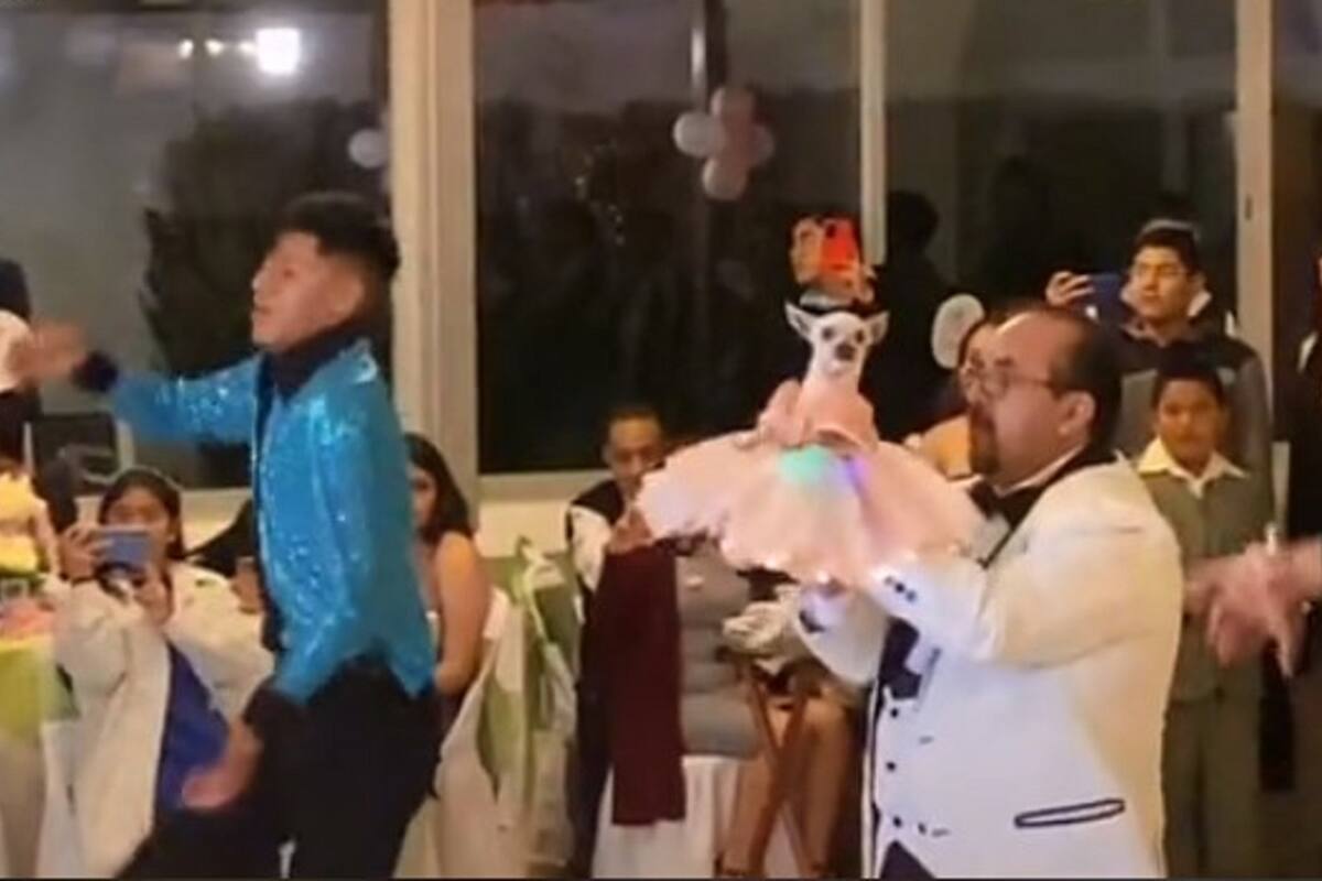 VIDEO: ¡En grande! Familia festeja los XV años de su perrita chihuahua y se hace viral
