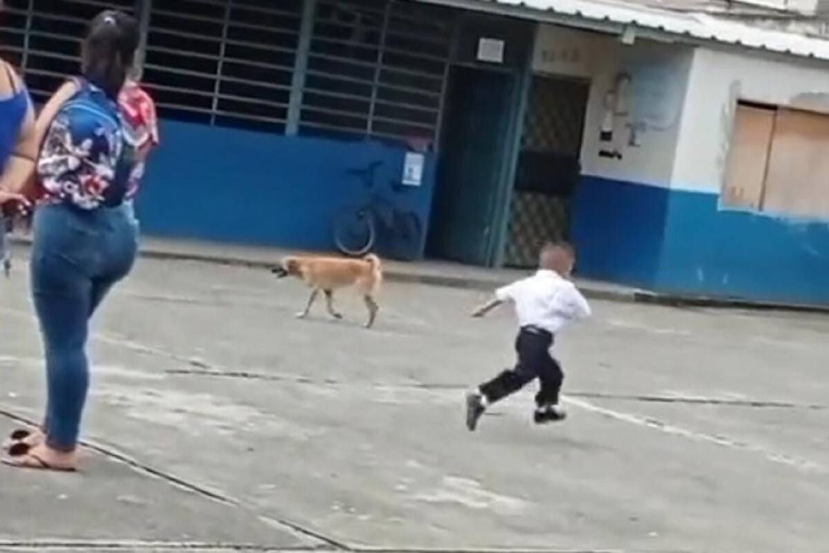 TikTok: Niño intenta huir de la escuela en su primer día de clases