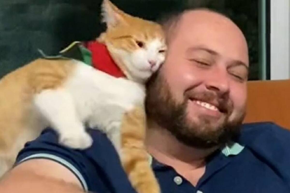 VIDEO VIRAL: Así es como este gatito le pide atención a su dueño