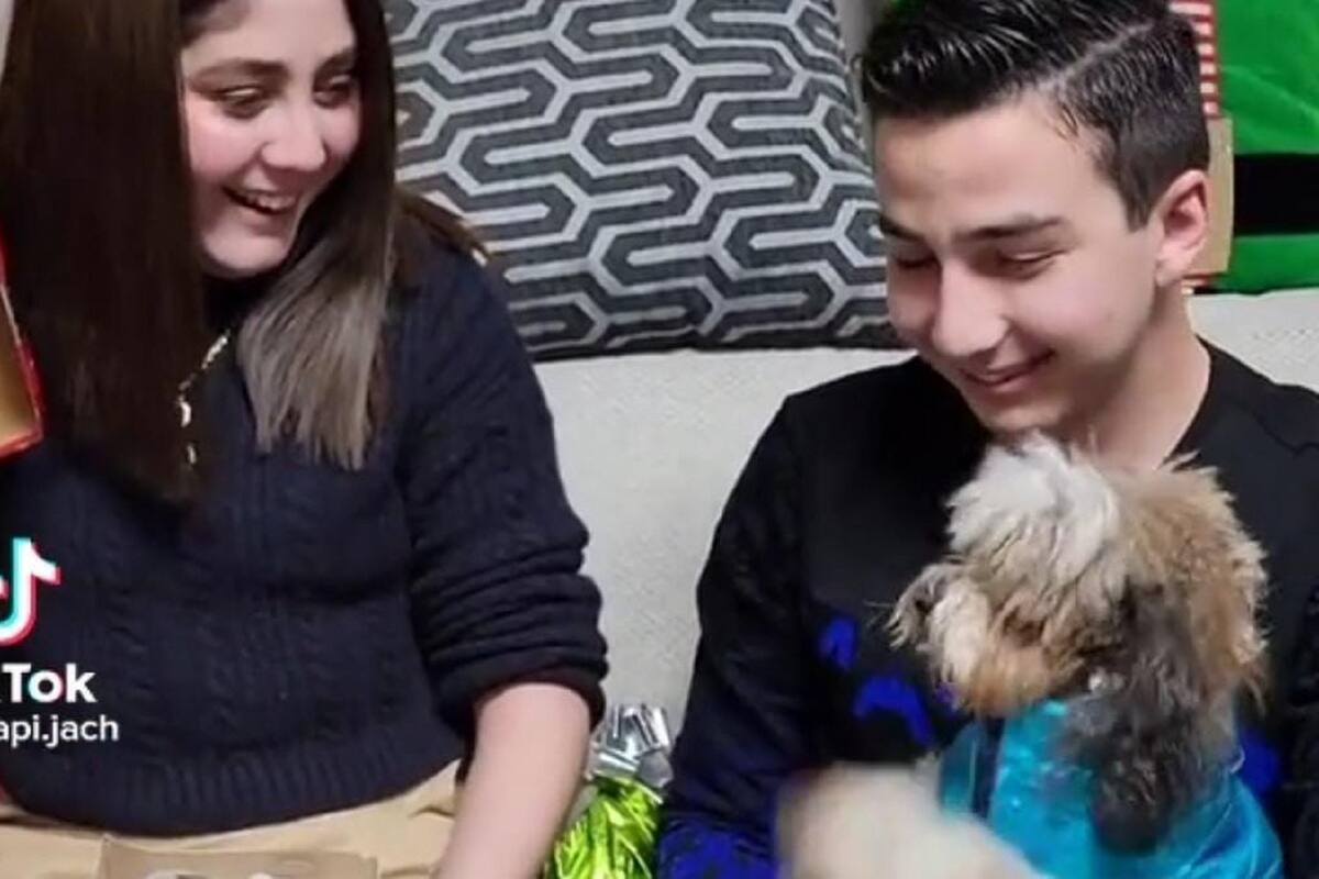 VIDEO VIRAL: Así reaccionó este perrito al ver su regalo de navidad