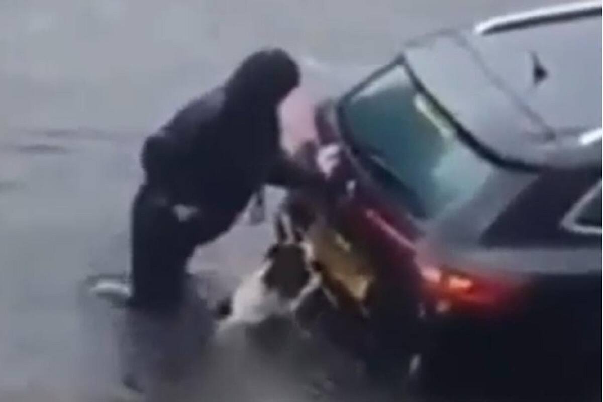 Perrito ayuda a empujar el carro a su dueña tras quedarse tirado en plena inundación