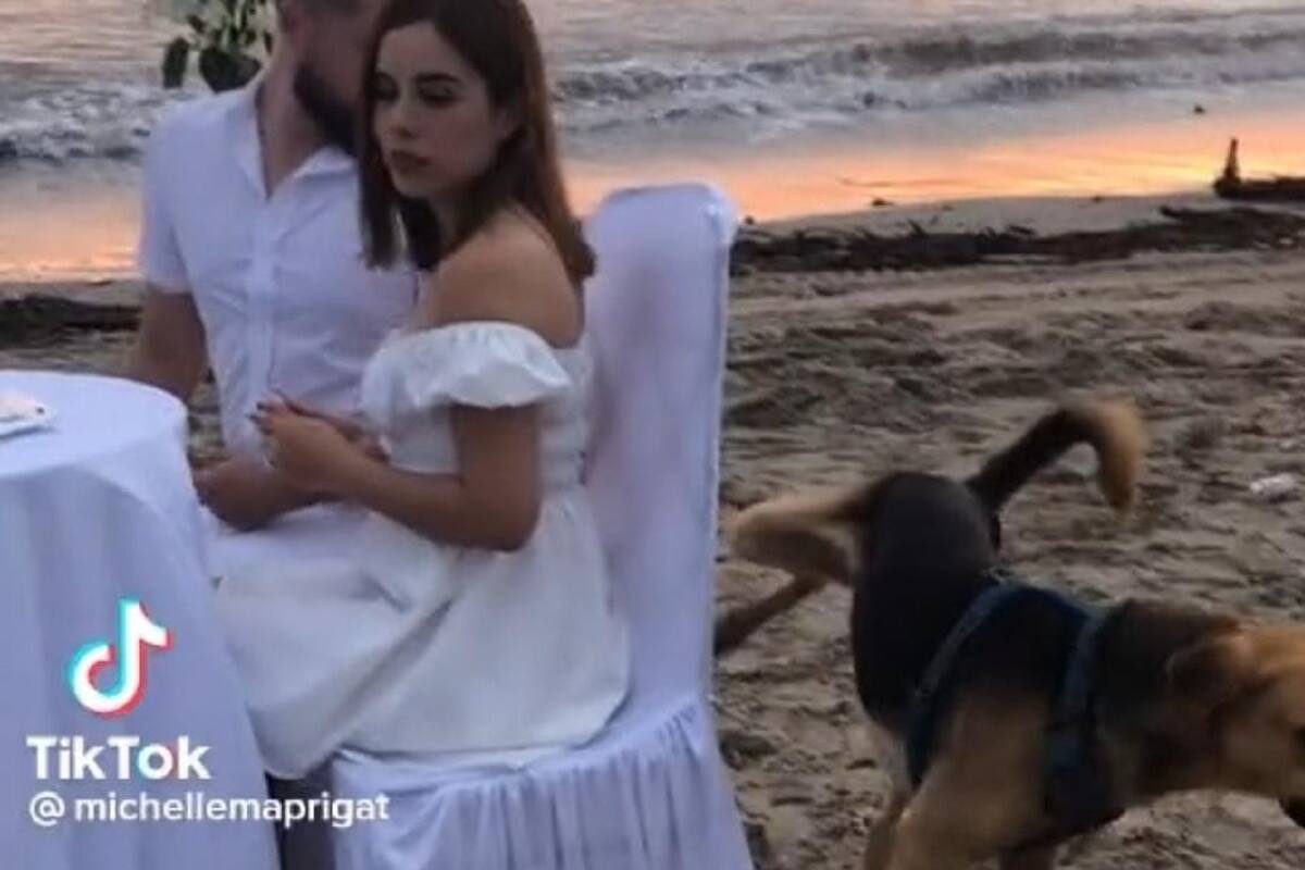 VIDEO VIRAL: Perrito arruina boda orinando a los novios