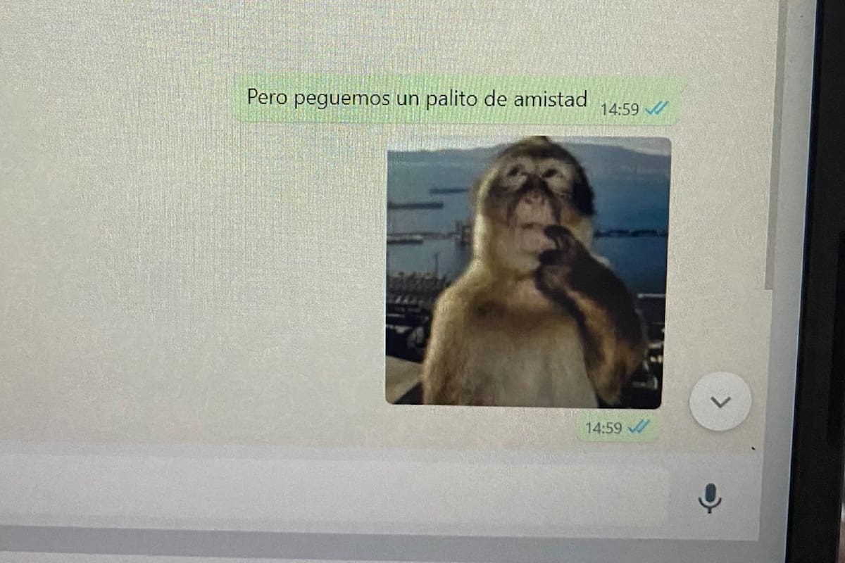 Joven descubre que su novio le fue infiel porque no cerró WhatsApp en su computadora