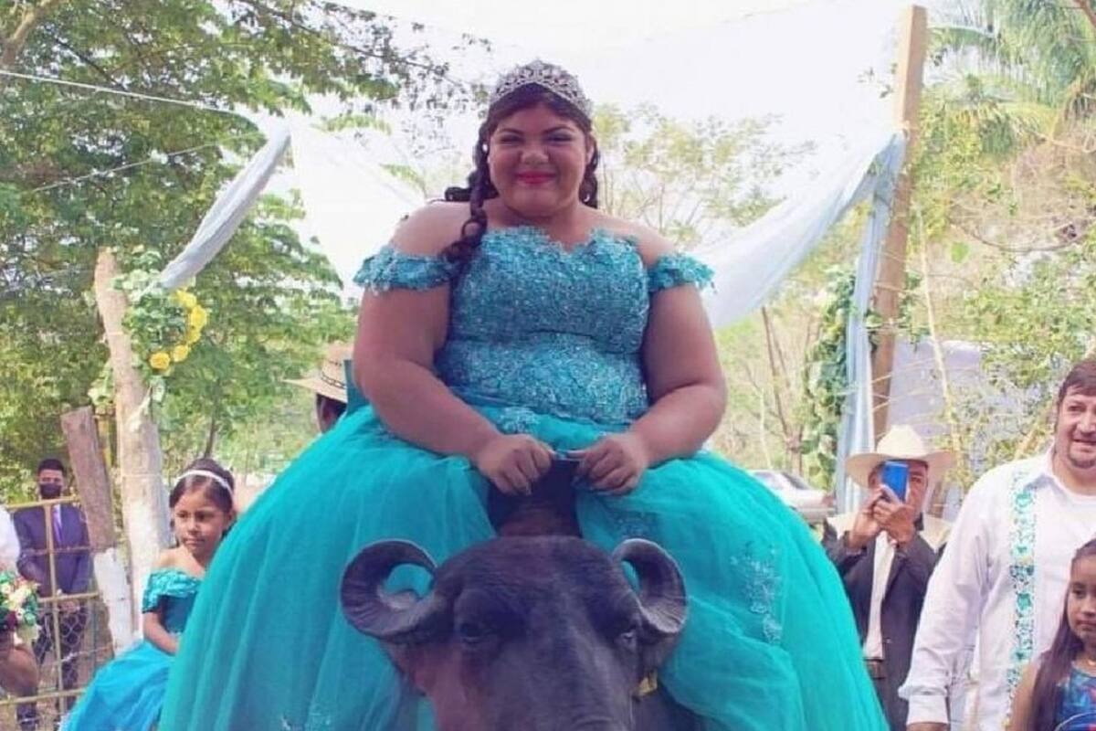 Quinceañera llega montada en un búfalo a su fiesta y se hace viral