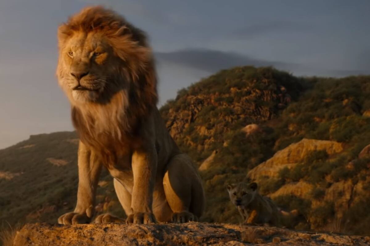'Mufasa': Internautas auguran fracaso para la nueva película en live-action de Disney