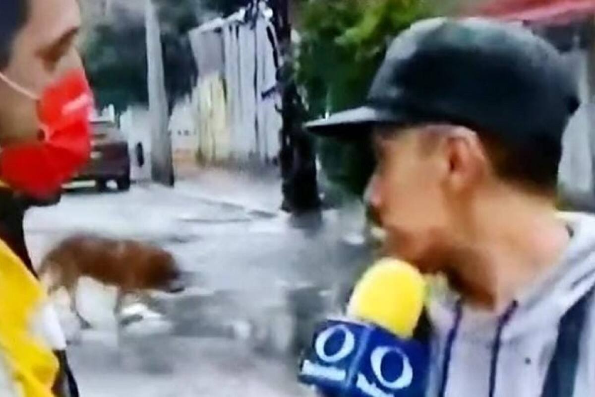 Joven se vuelve viral en TikTok por su reacción al recibir golpe en plena entrevista