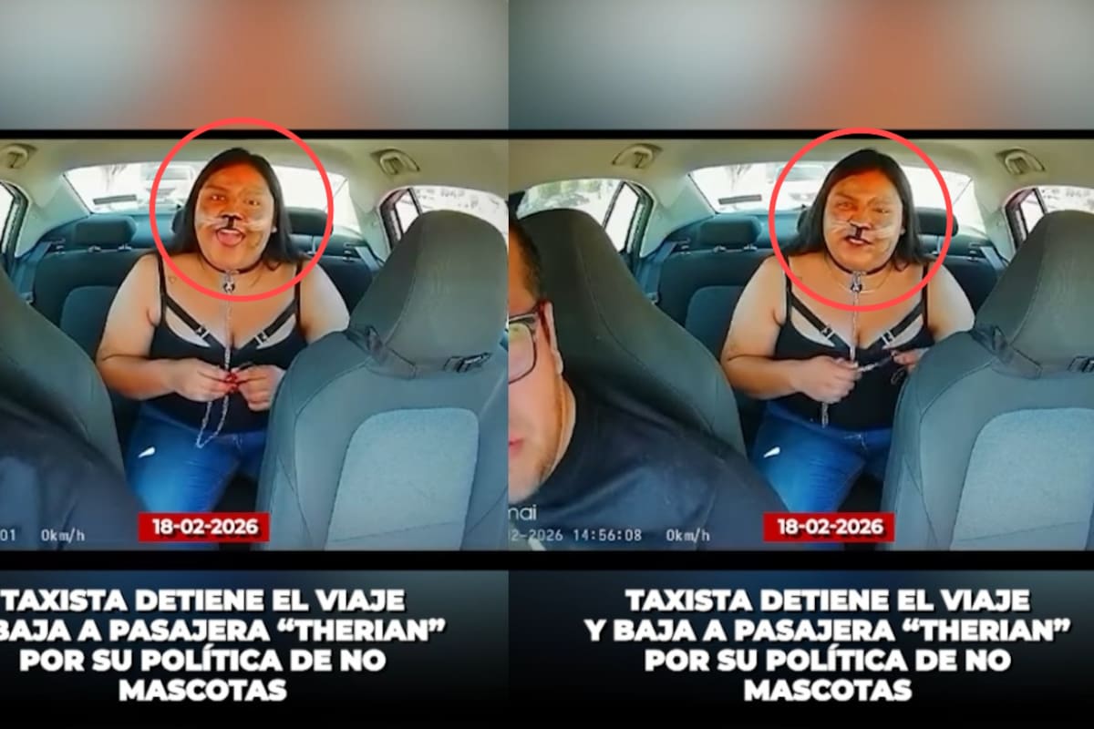 “Prefiera Uber Pet, no continuaré con el viaje”: discusión entre taxista y un therian genera controversia en internet