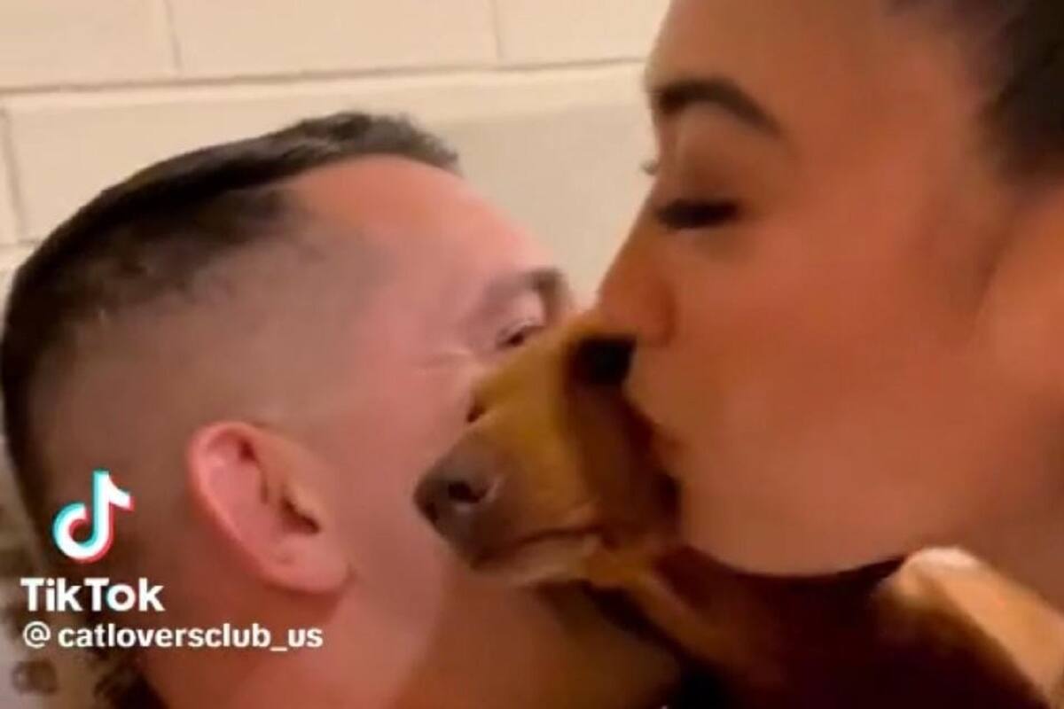TikTok: Perrito no deja que la esposa de su dueño lo bese