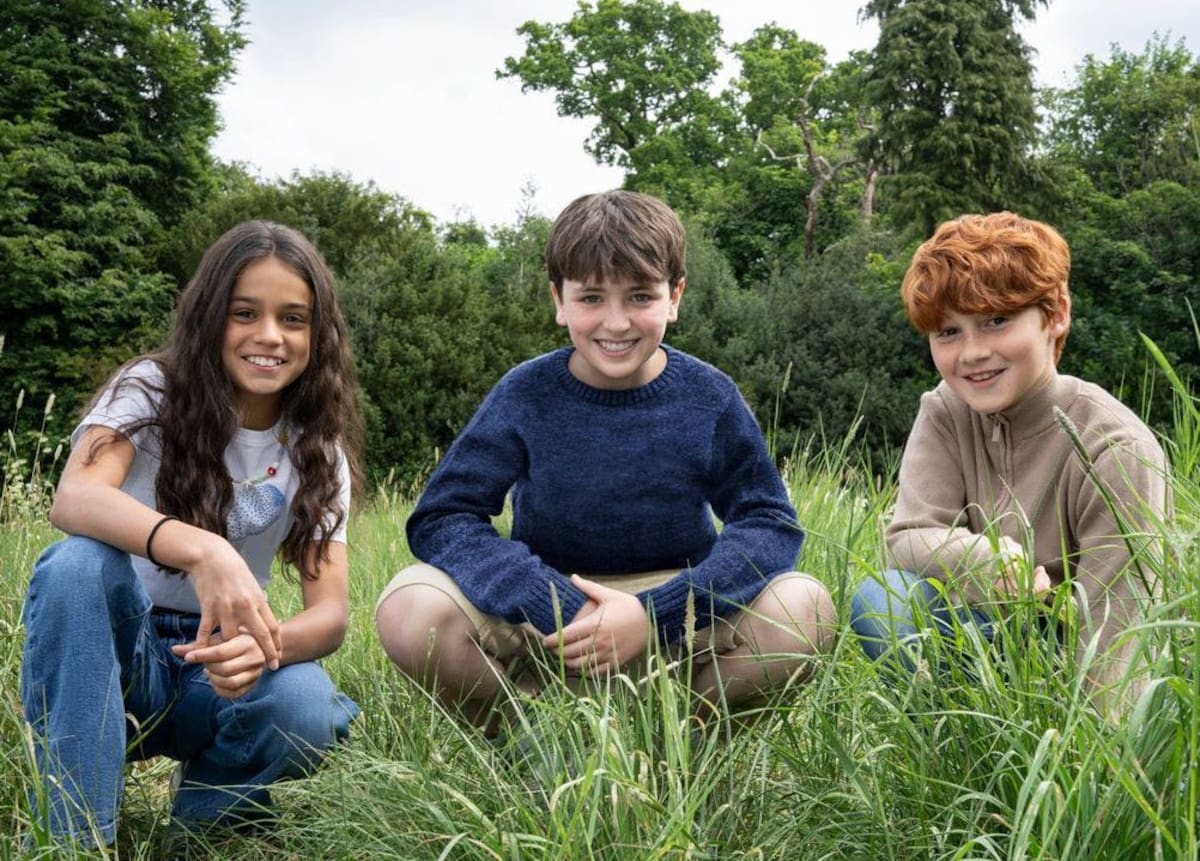 El nuevo 'cast' de Harry Potter.