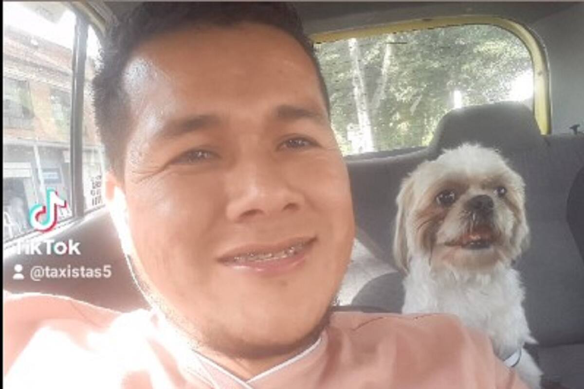 Junto a una carta, abandonan a perrito dentro de un taxi en Bogotá; chofer lo adopta