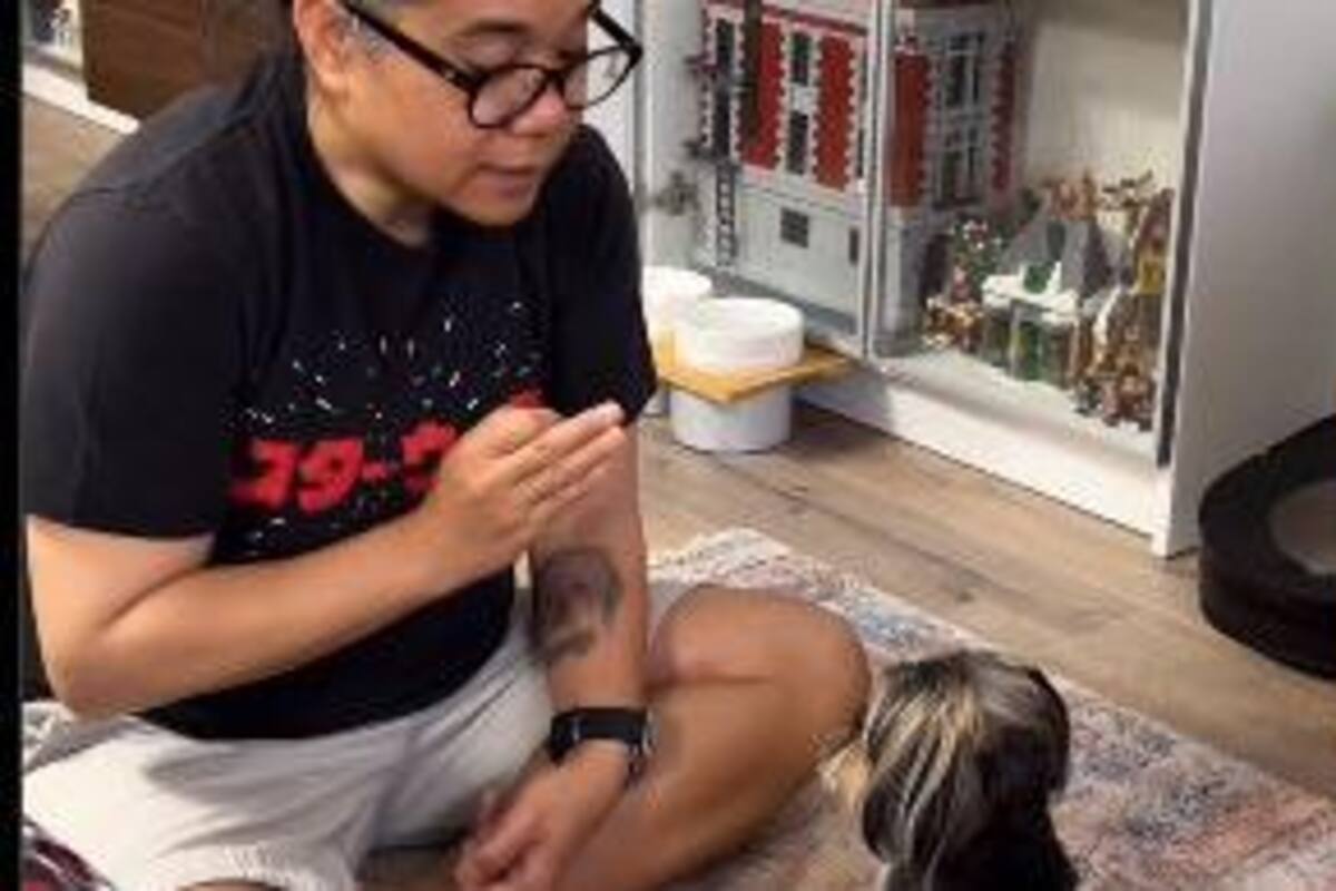 Scout, el perro matemático que conquista las redes sociales