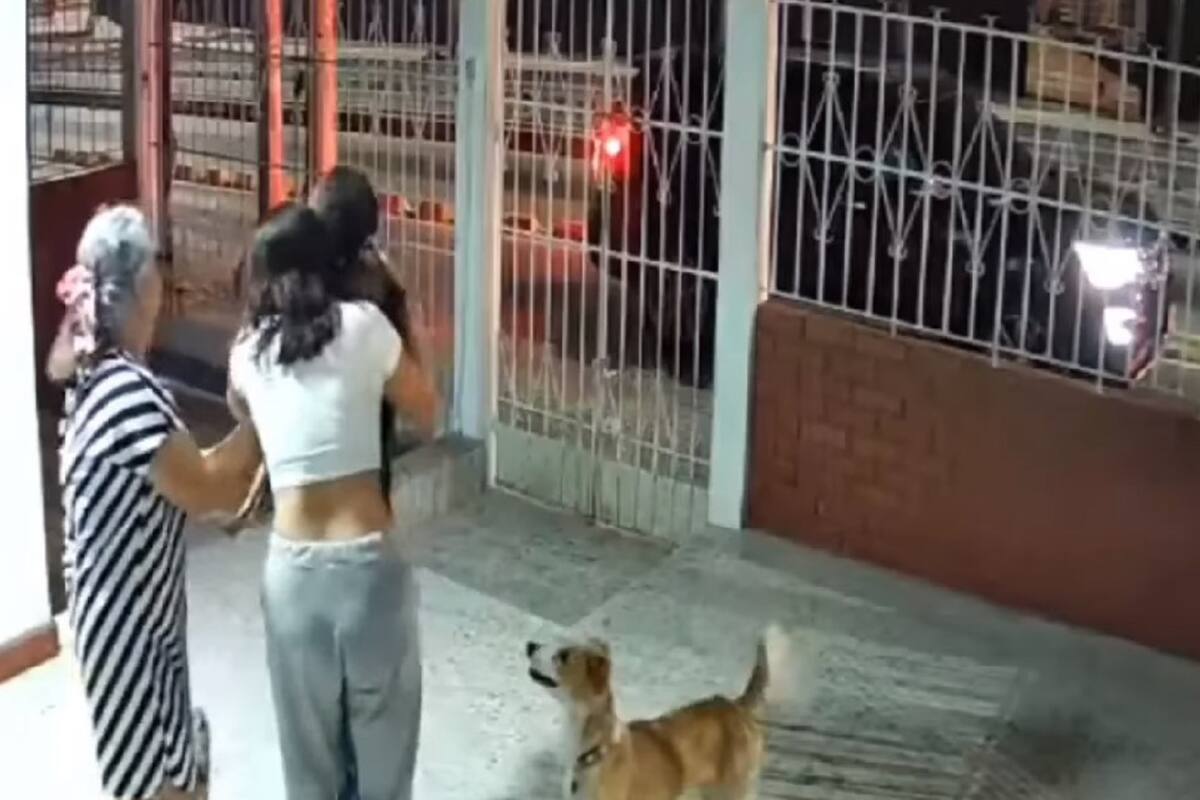 VIDEO VIRAL: Perrito regresa a casa tras estar perdido: La alegría de la familia no tiene precio