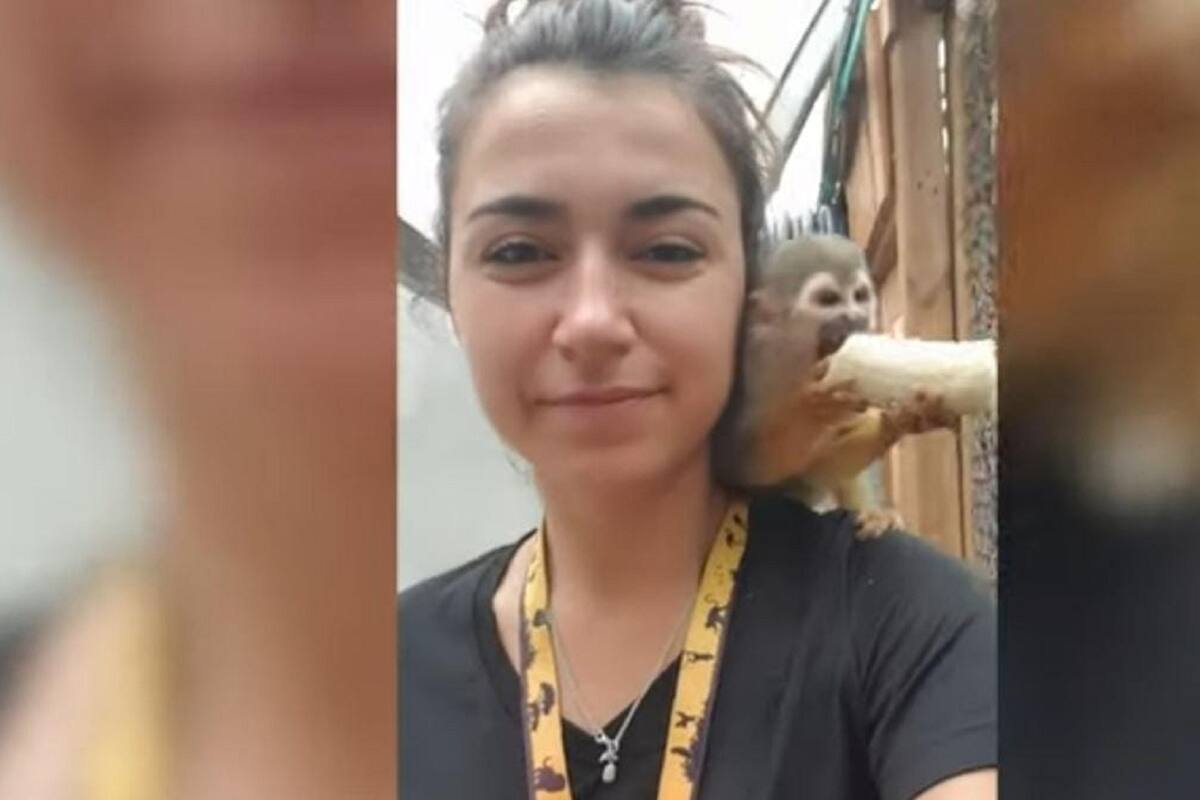 Changuito causa sensación en internet luego de que le robara un plátano a una mujer