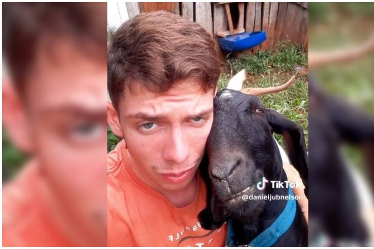 Cabra y su dueño se vuelven virales al ritmo de Ed Sheeran