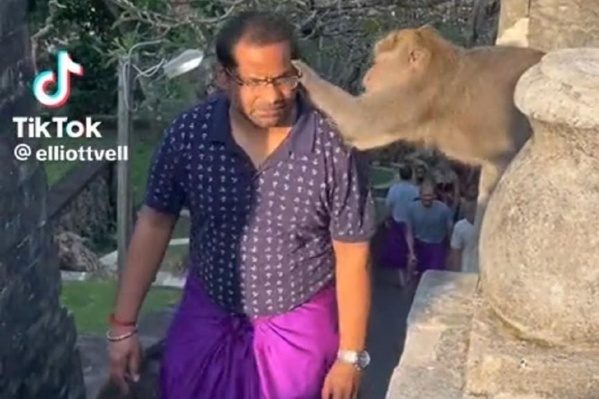 VIRAL: Mono le roba sus lentes a un sujeto