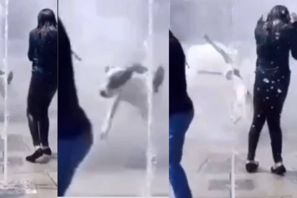 VIDEO VIRAL: Perrito sale volando al ser sorprendido por un chorro de agua al jugar en fuente