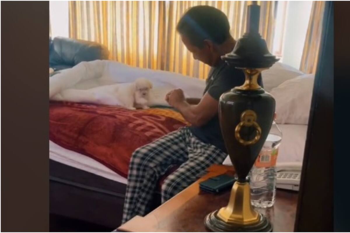 Una perrita conquistó el corazón del hombre que inicialmente se oponía a tenerlo