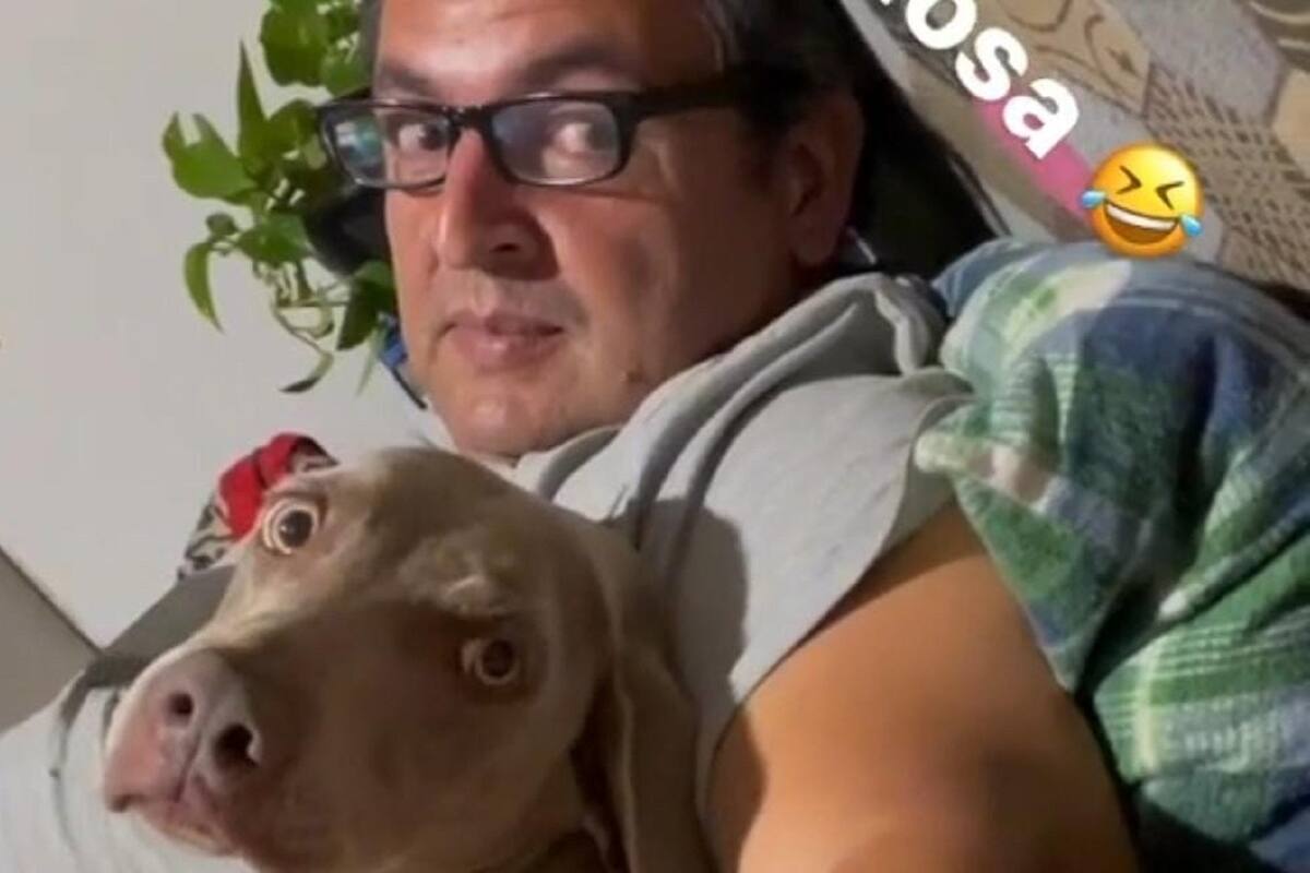 Perrita se vuelve viral en TikTok por celar a su dueño