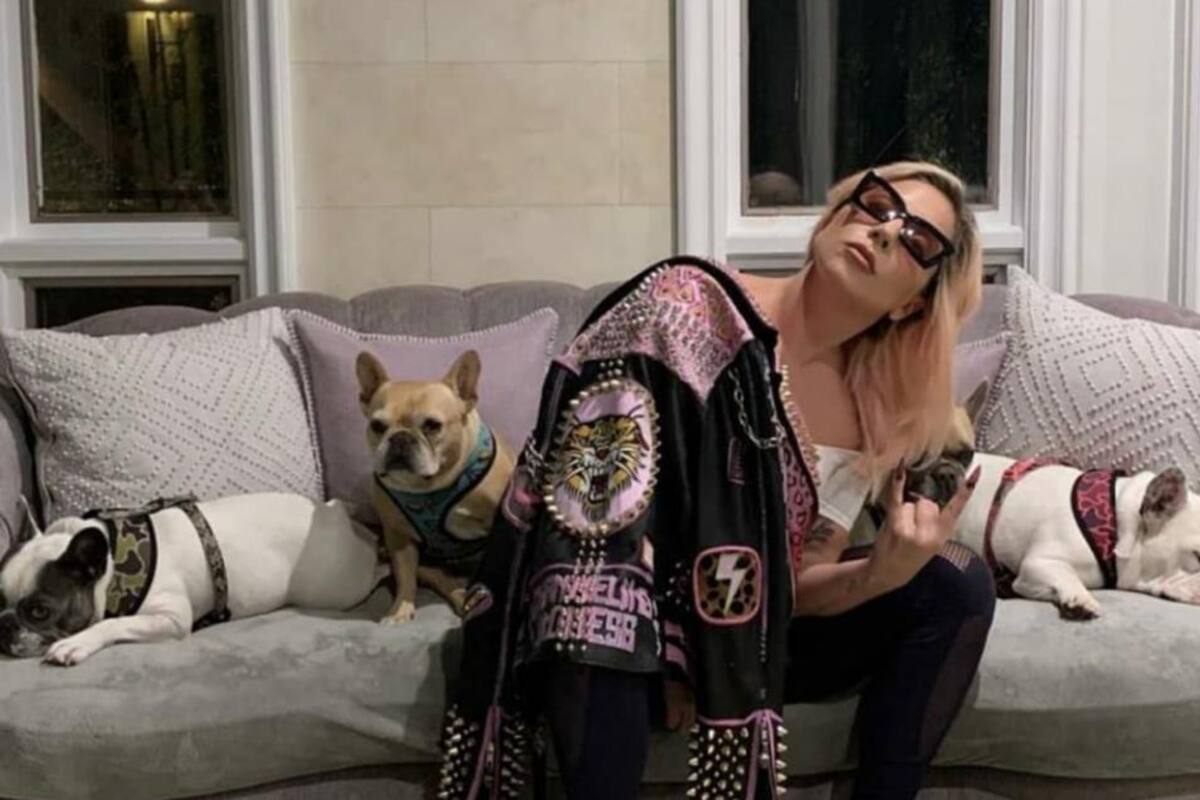 Sentencian con 21 años de cárcel a secuestrador de perros de Lady Gaga