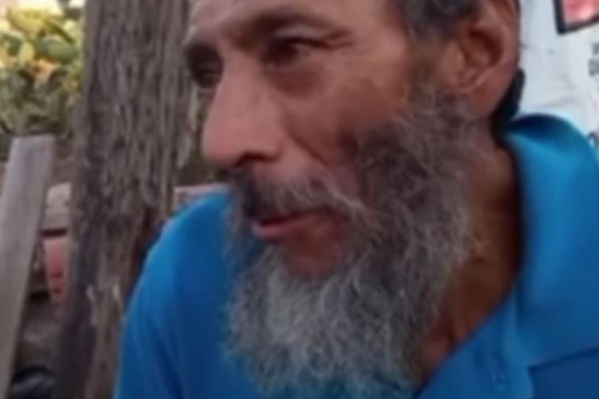 VIDEO: Donan croquetas envenenadas a señor que alimentaba perritos en Jalisco; mueren 17