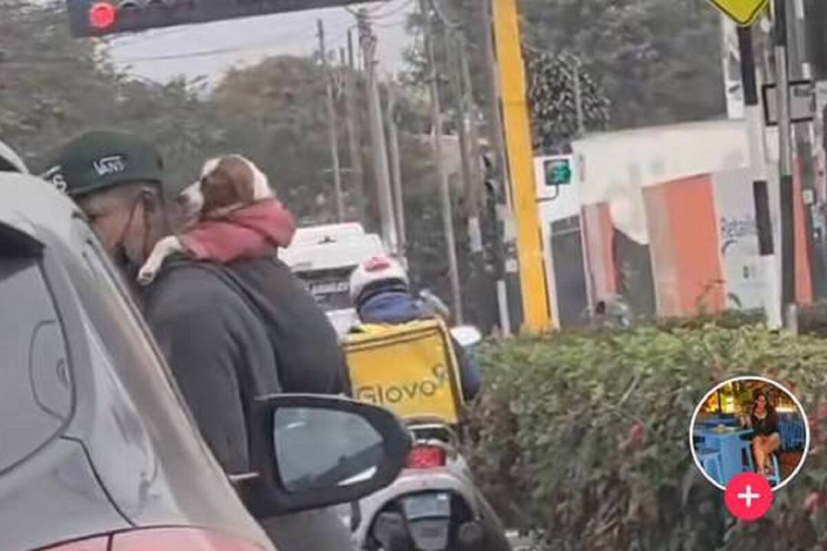 VIDEO VIRAL: Limpiaparabrisas conmueve al trabajar cargando a su perrito en la espalda
