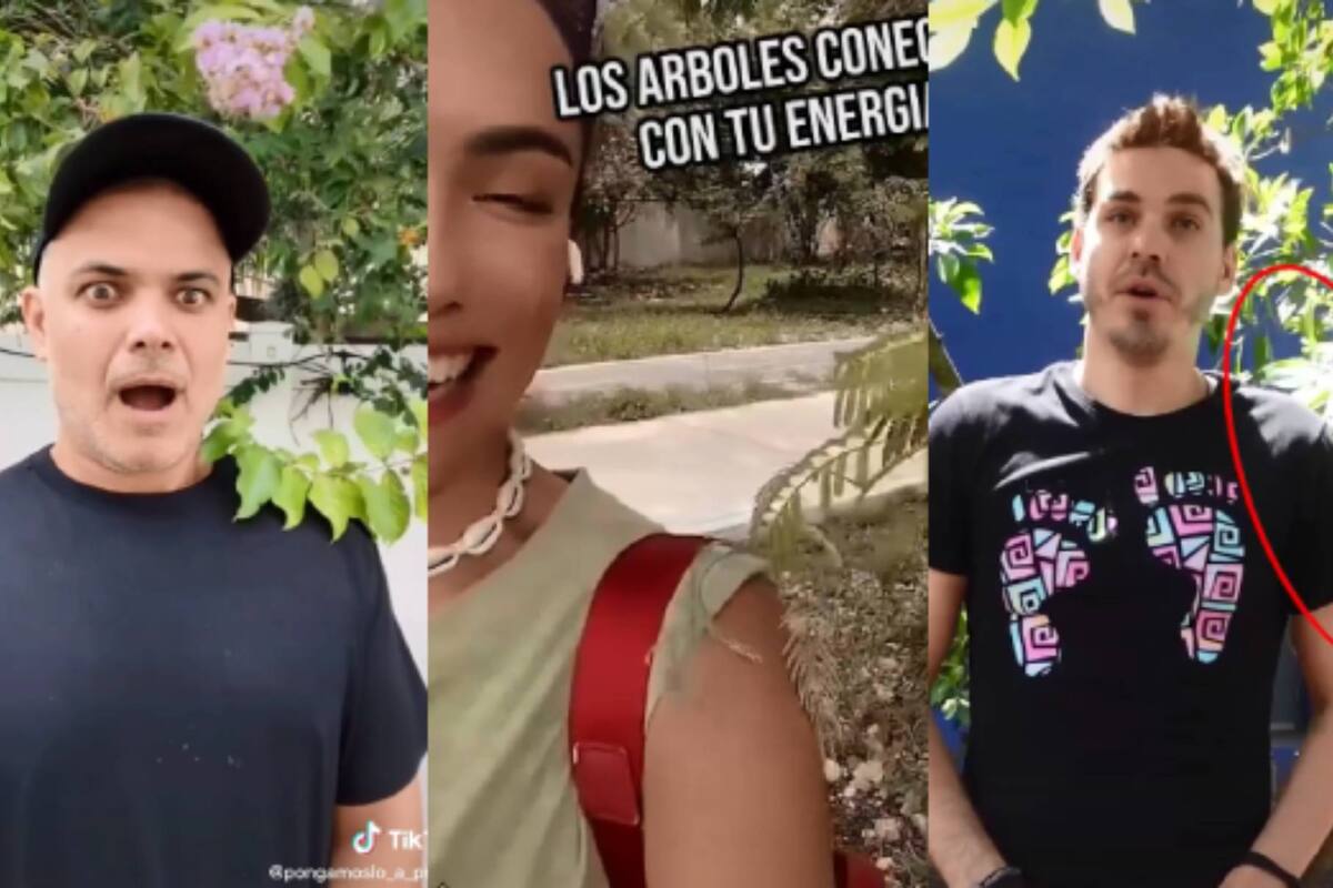 "Arbolito toca mi hombro": reto de TikTok donde la naturaleza escucha a humanos