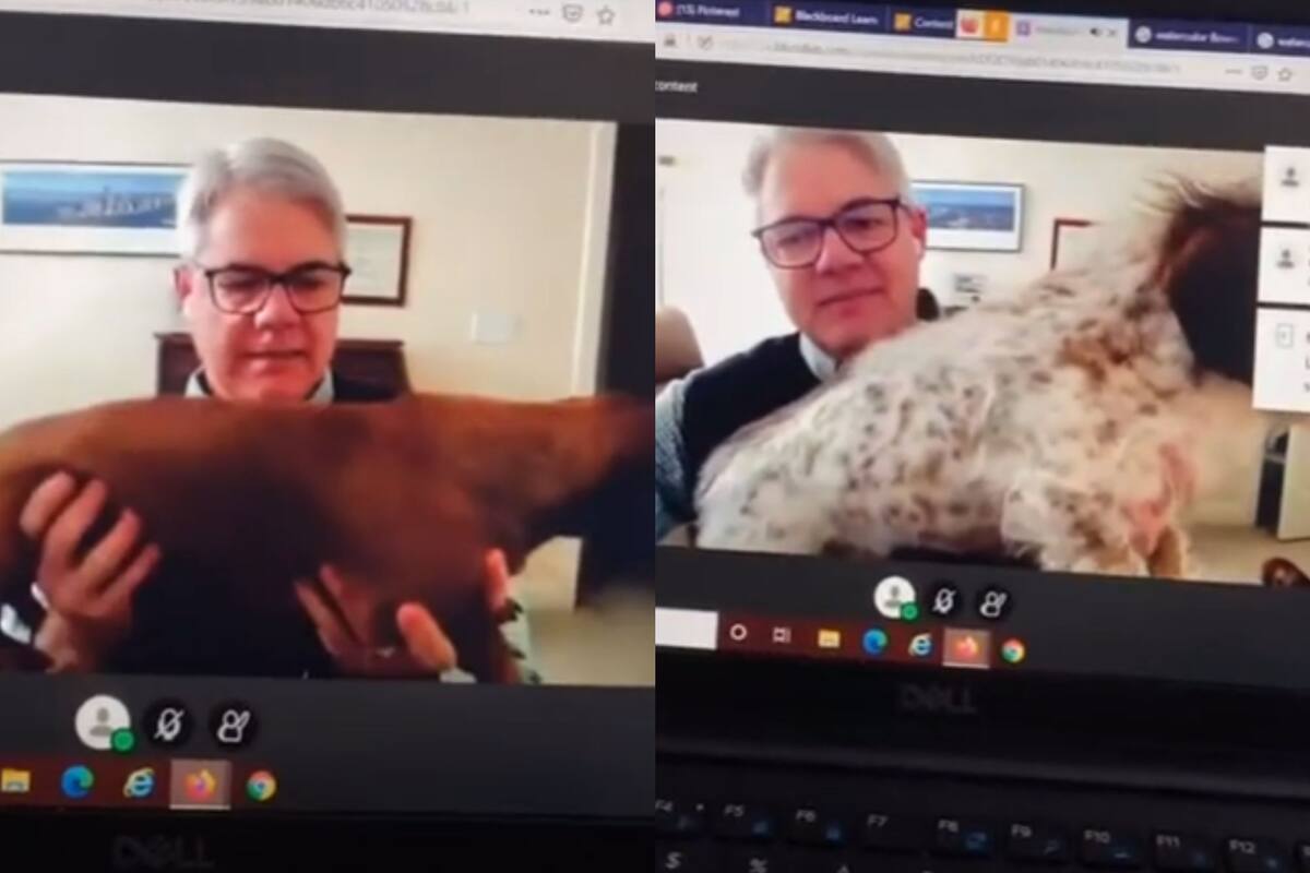 VIDEO: Maestro se viraliza al mostrar a sus perros en plena clase
