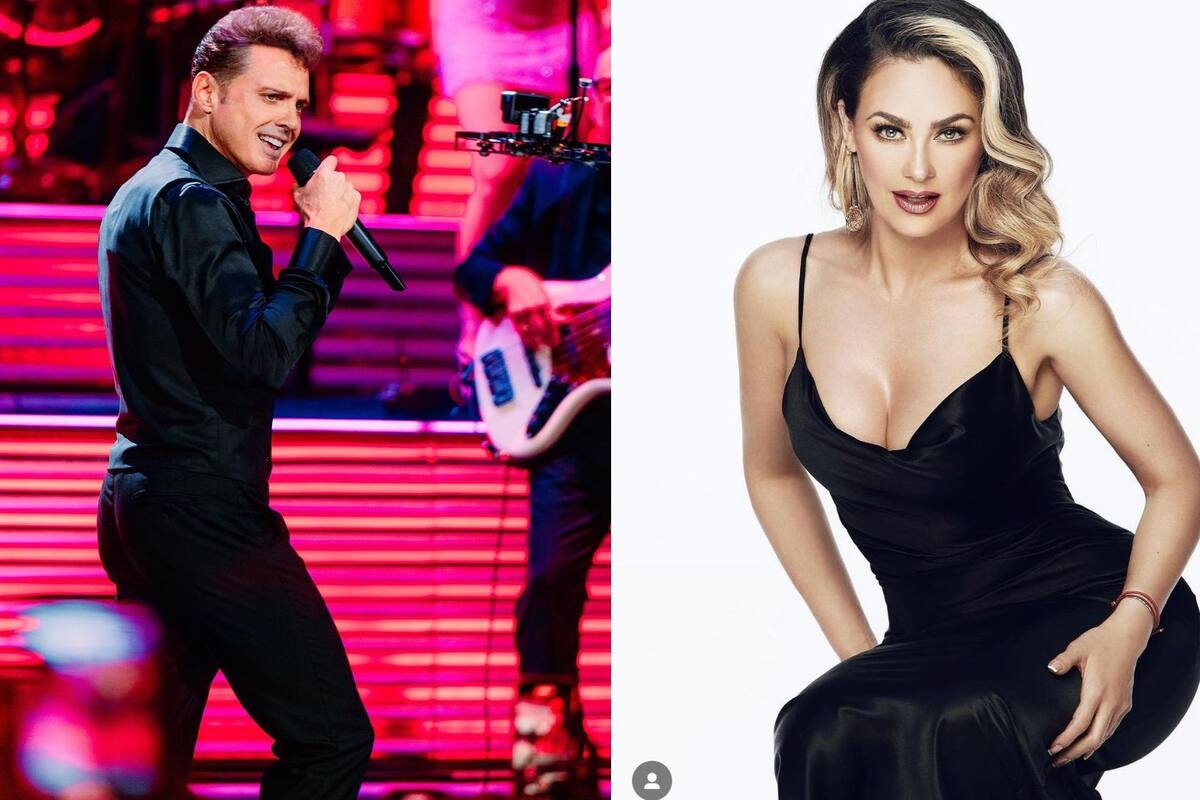 Aracely Armabula VS Luis Miguel: Filtran documentos de la demanda