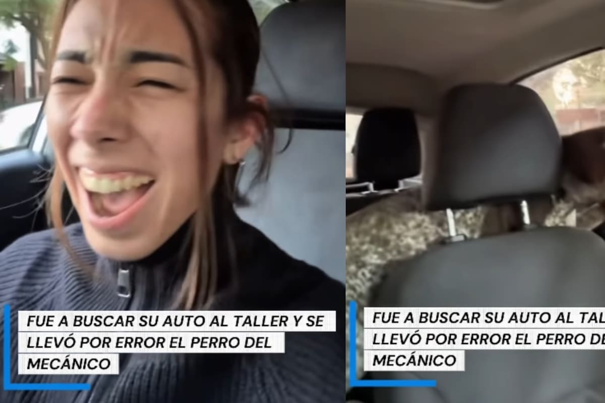 “Se llevó al can del mecánico”: mujer recoge su coche sin percatarse que el perro iba dentro