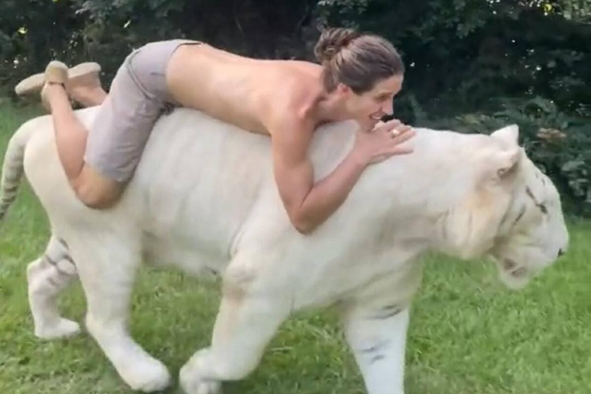 Hombre se vuelve viral en TikTok al montar un tigre blanco