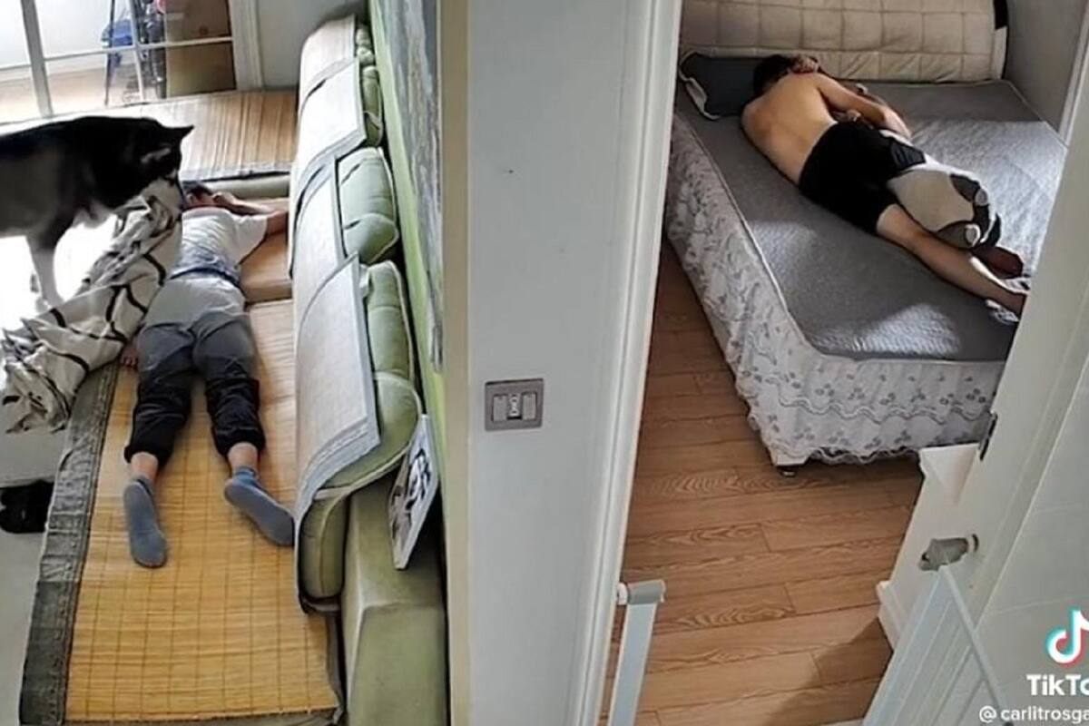 VIDEO VIRAL: Perrito abriga con una manta a joven que se encontraba dormido