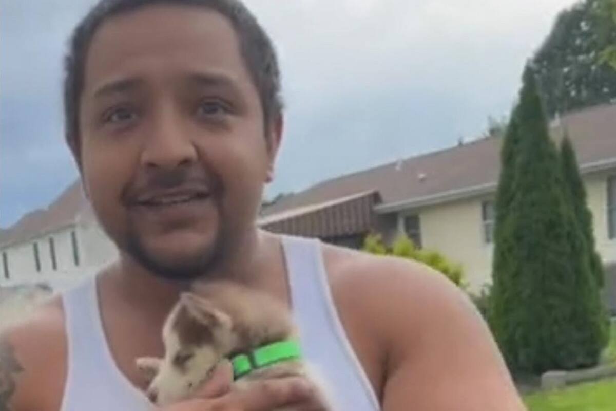 TikTok: Mujer le regala a su esposo el perro que siempre quiso desde niño