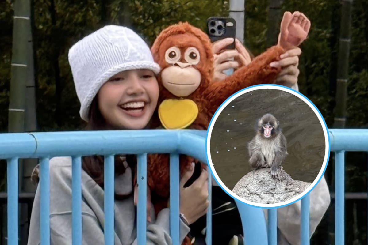 Lisa de BLACKPINK causa sorpresa al visitar a Punch, el mono que se hizo viral en internet