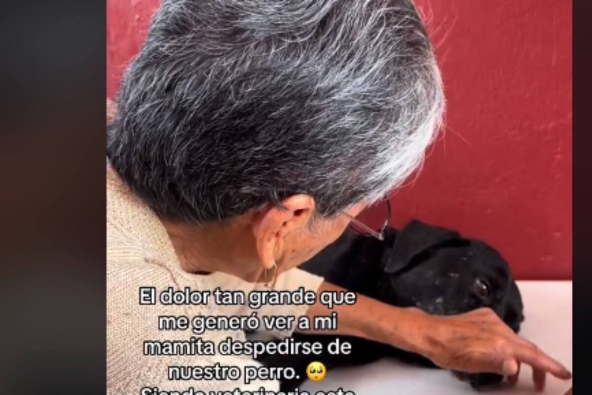 VIRAL: Abuelita se despide de su perrito antes de que este falleciera