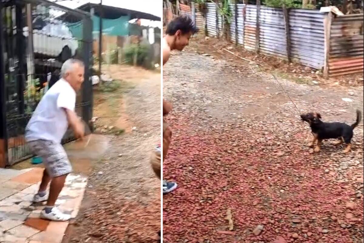 VIDEO VIRAL: Perrito sorprende a todo TikTok al jugar con su amo a la cuerda